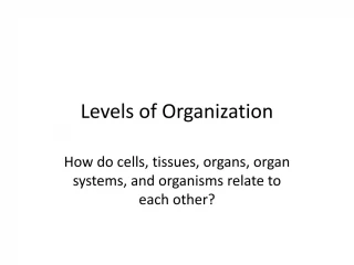 Levels of Organization - slide 1