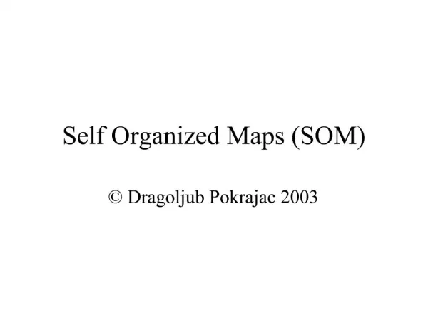 Self Organized Maps SOM