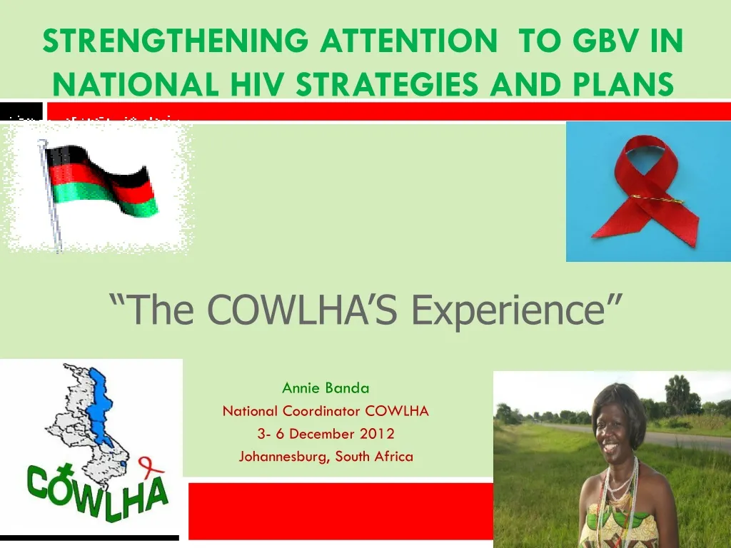 strengthening attention to gbv in national hiv strategies and plans