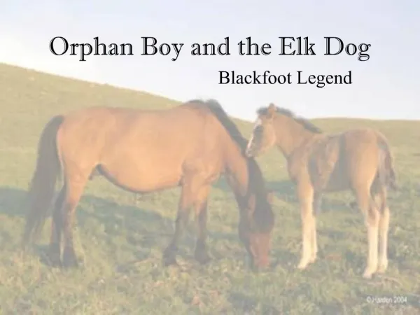 Orphan Boy and the Elk Dog