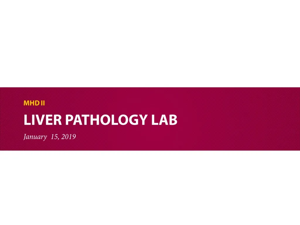 liver pathology lab