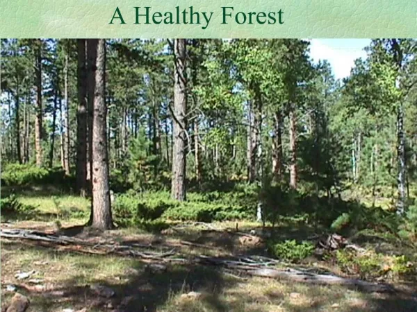 A Healthy Forest