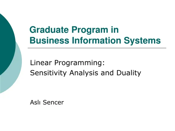 Graduate Program in Business Information Systems