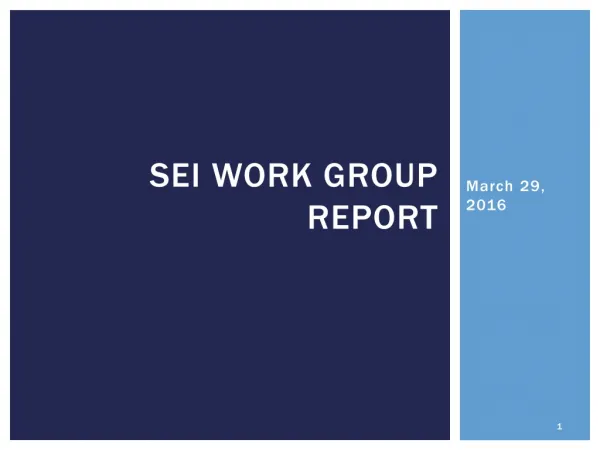 Sei work group report
