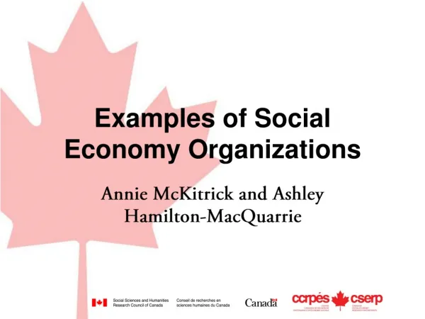 Examples of Social Economy Organizations