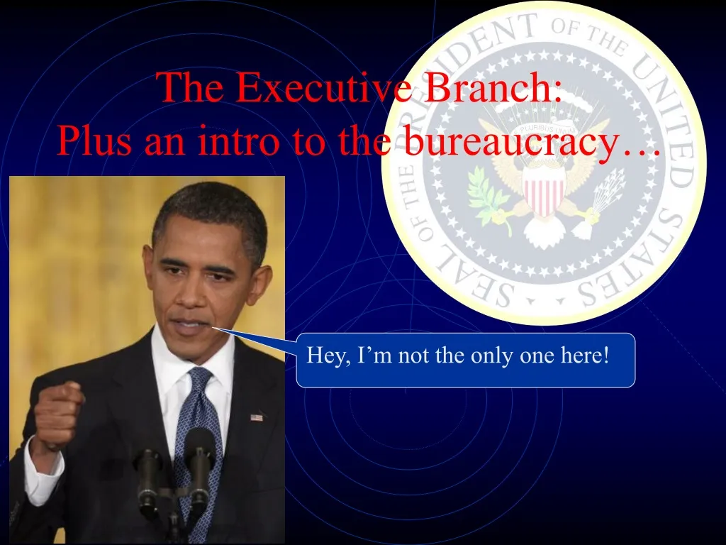 the executive branch plus an intro to the bureaucracy