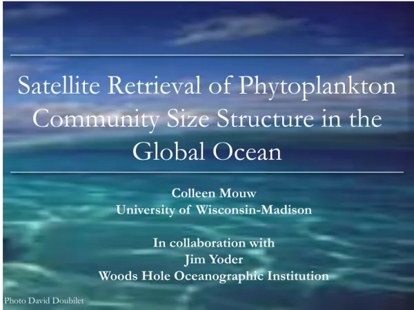 Satellite Retrieval of Phytoplankton Community Size Structure in the Global Ocean