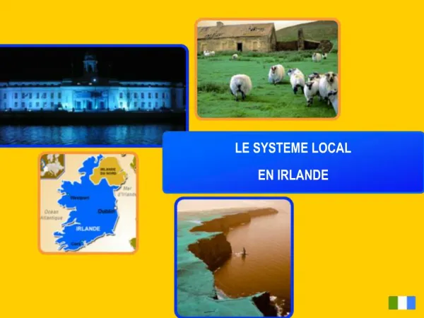 LE SYSTEME LOCAL EN IRLANDE