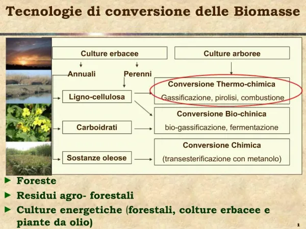 Tecnologie di conversione delle Biomasse