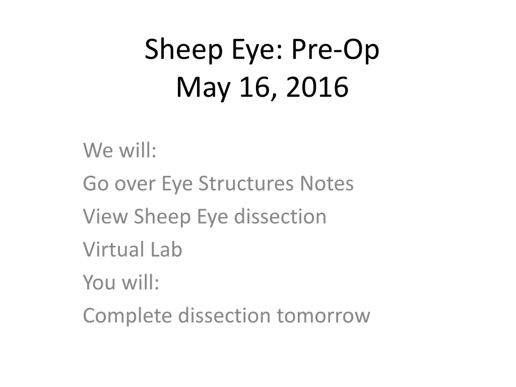 sheep eye pre op may 16 2016