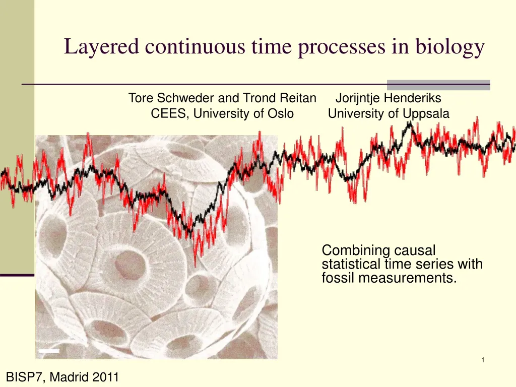 layered continuous time processes in biology