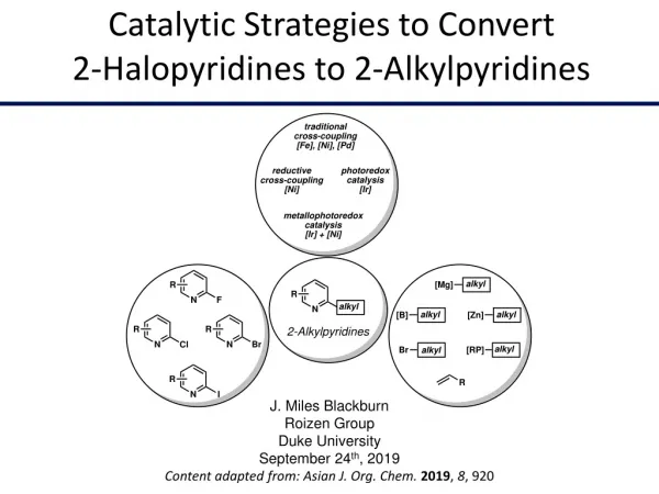 Catalytic Strategies to Convert 2-Halopyridines to 2-Alkylpyridines