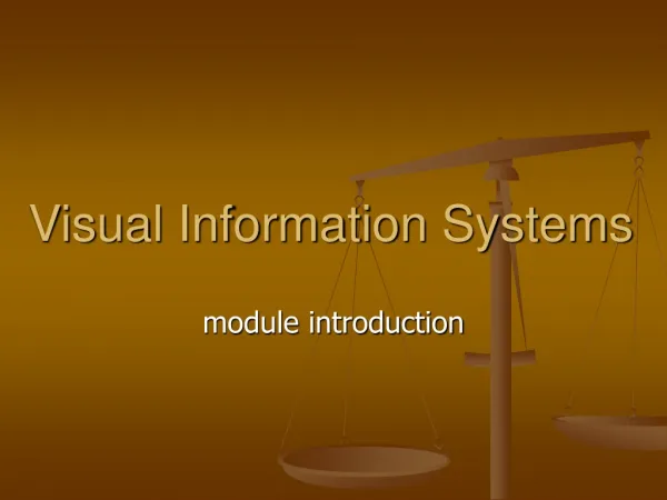 Visual Information Systems