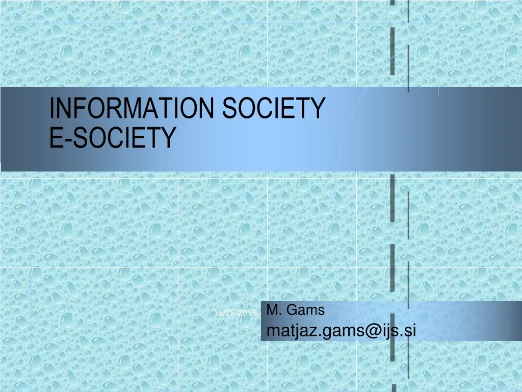 information society e society