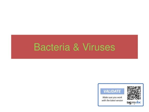 Bacteria &amp; Viruses