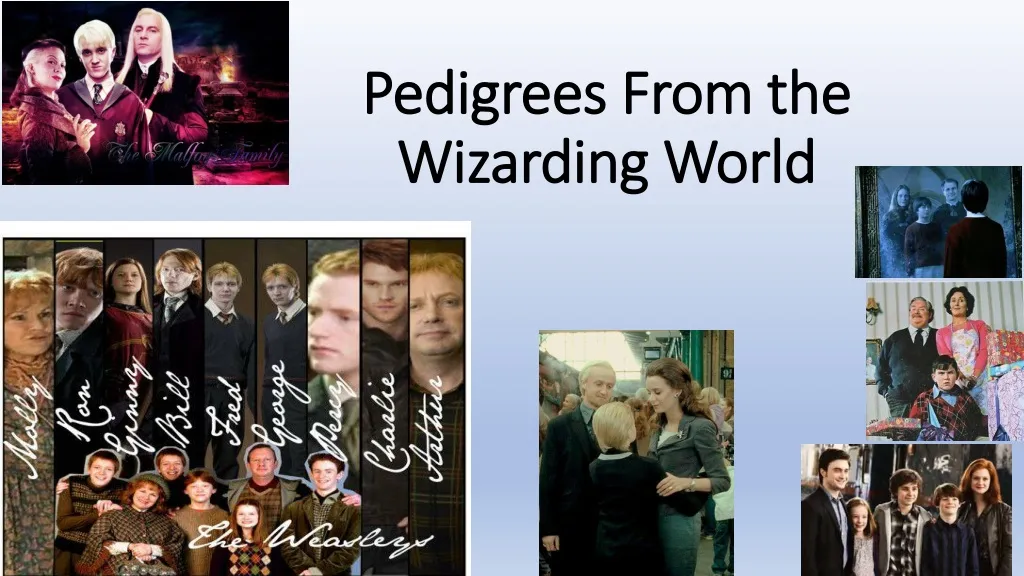 pedigrees from the wizarding world
