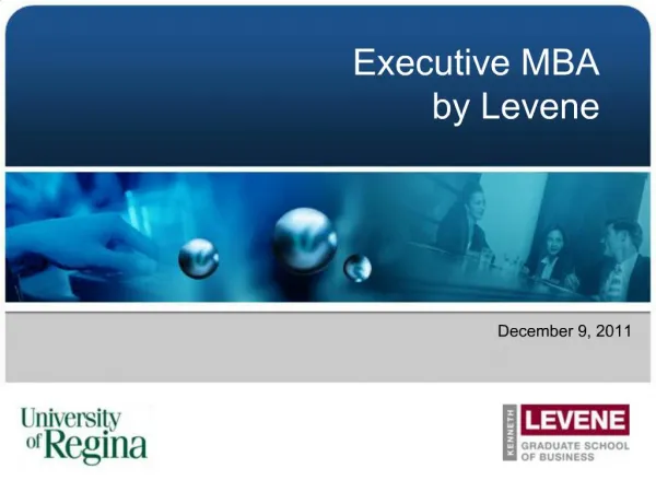 Executive MBA by Levene