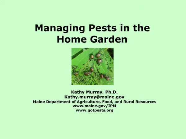 Managing Pests in the Home Garden
