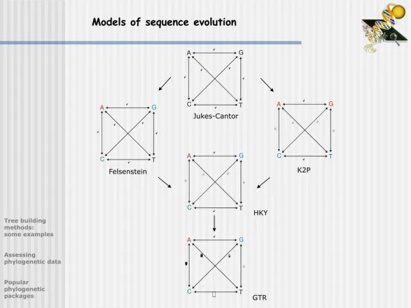 Models of sequence evolution