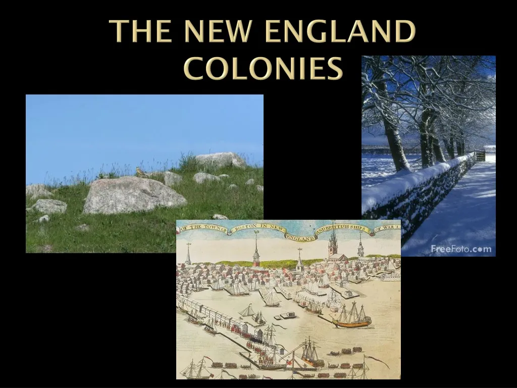 the new england colonies