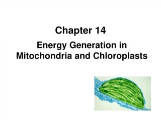 Chapter 14 - slide 1