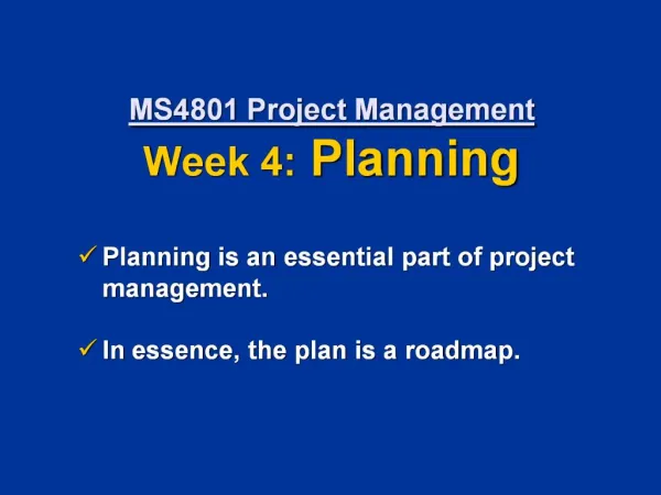 MS4801 Project Management Week 4: Planning