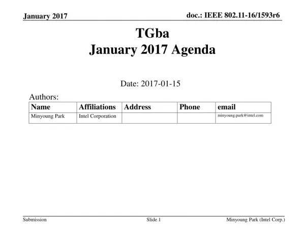 TGba January 2017 Agenda