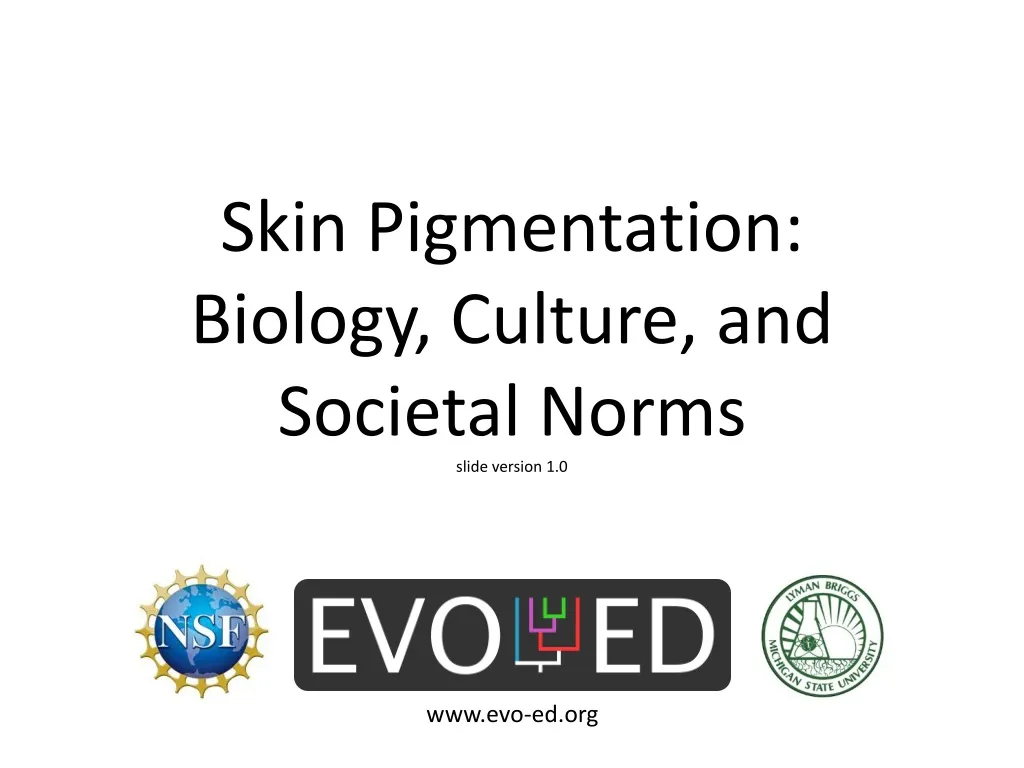 skin pigmentation biology culture and societal