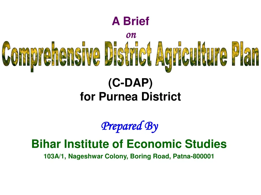 a brief on c dap for purnea district
