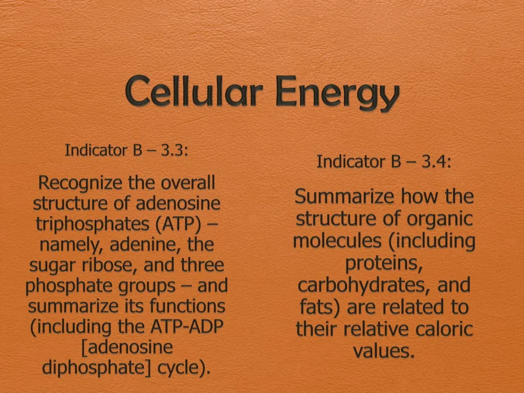 cellular energy