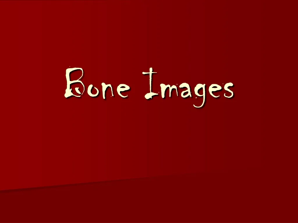 bone images