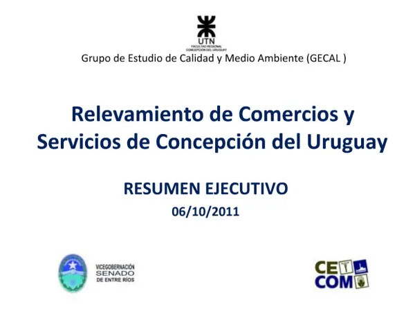 Relevamiento de Comercios y Servicios de Concepci n del Uruguay