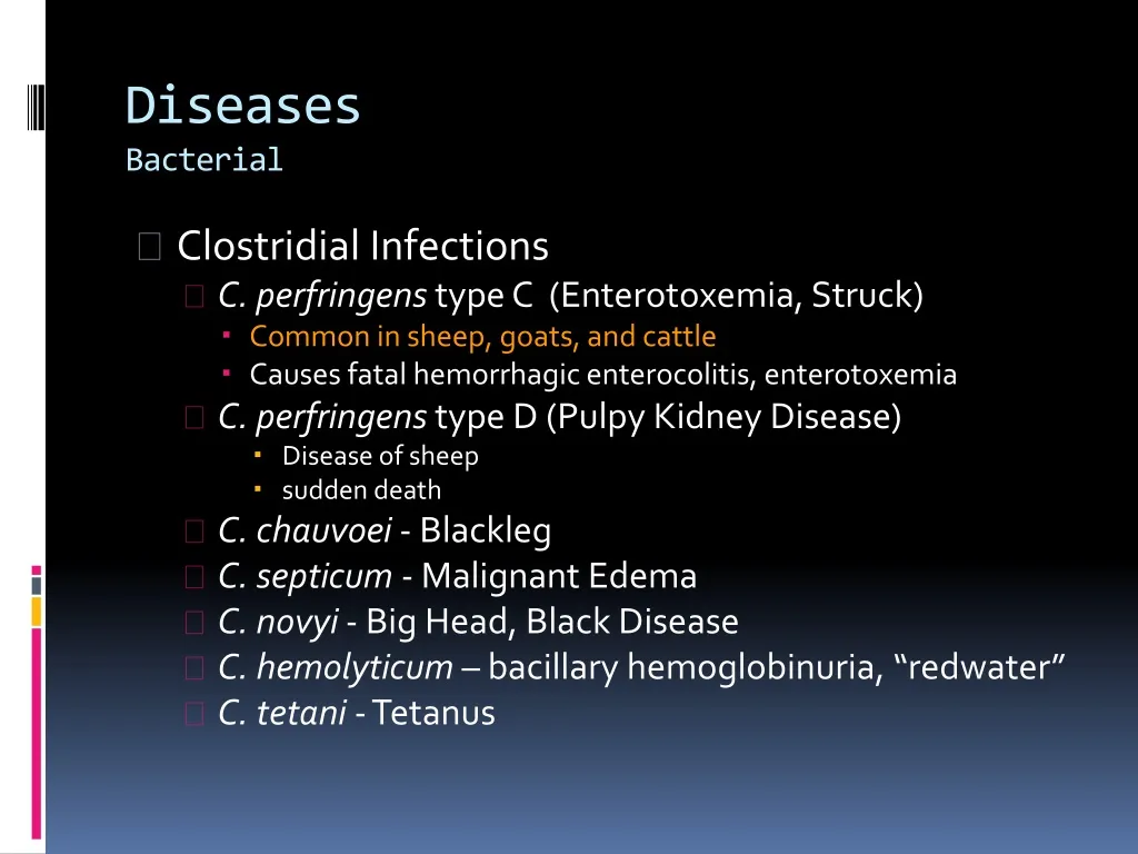 diseases bacterial