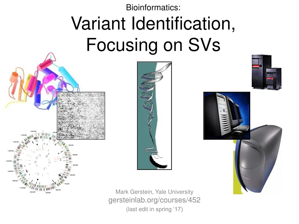 bioinformatics variant identification focusing on svs