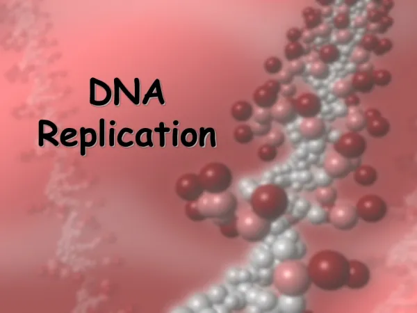 dna replication