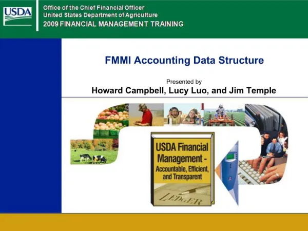 FMMI Accounting Data Structure