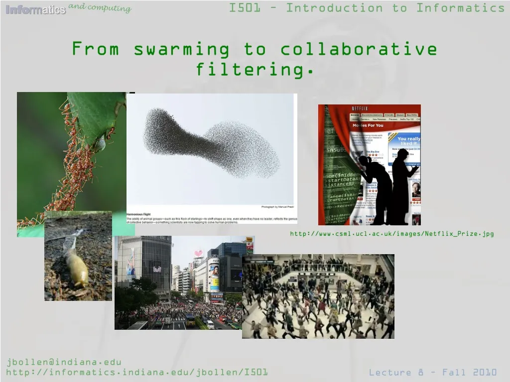 from swarming to collaborative filtering