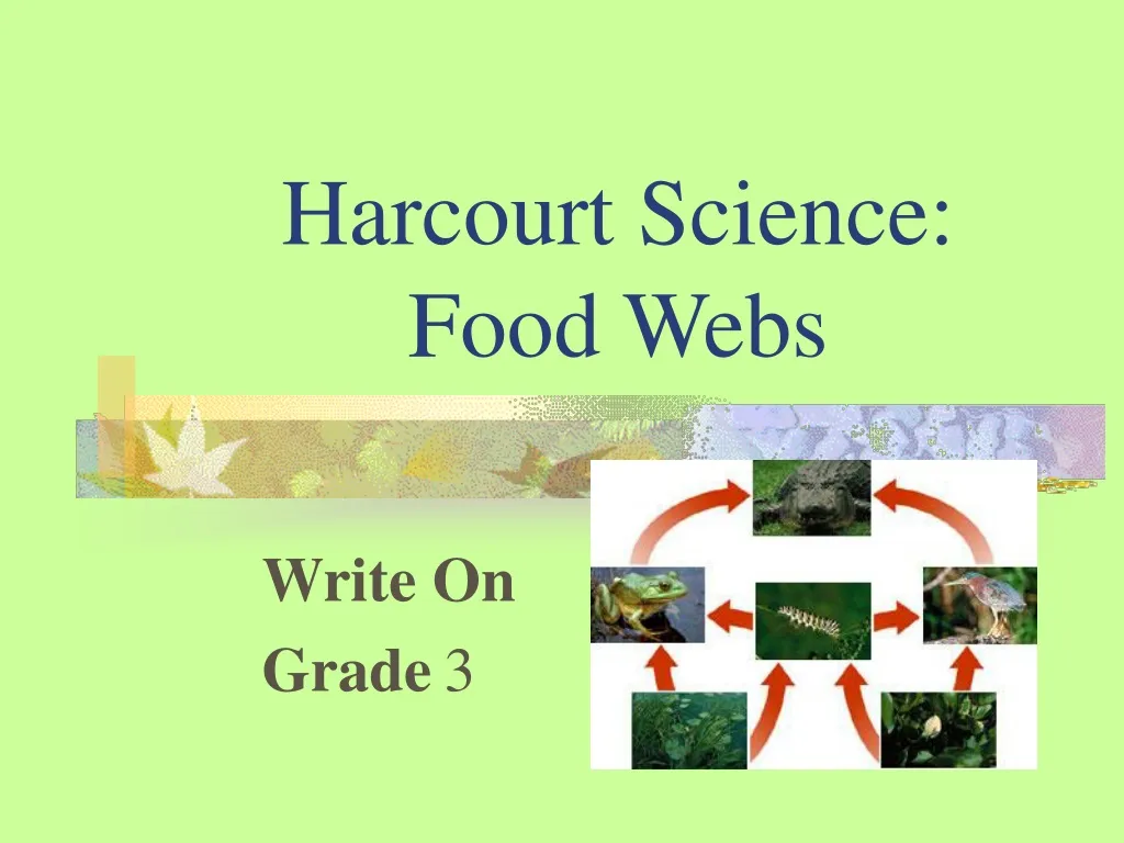 harcourt science food webs