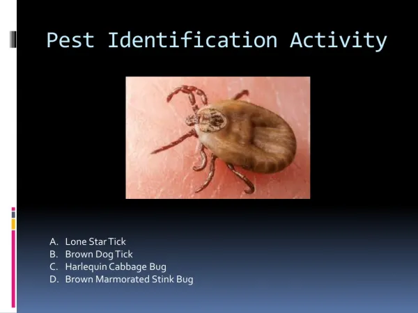 Pest Identification Activity