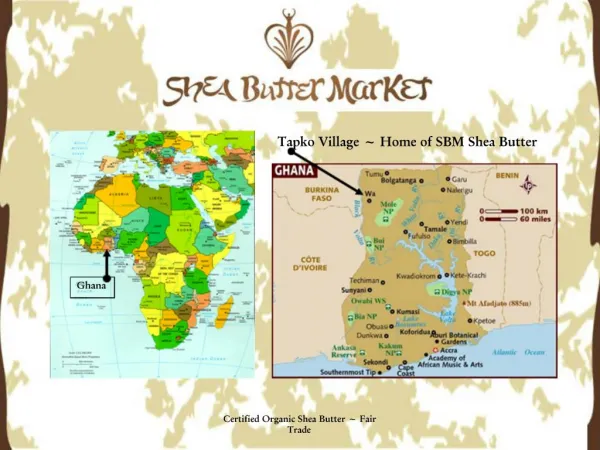 Certified Organic Shea Butter Fair Trade