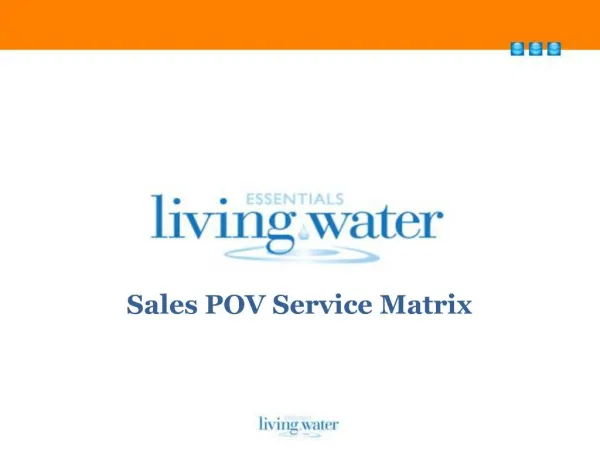 Sales POV Service Matrix