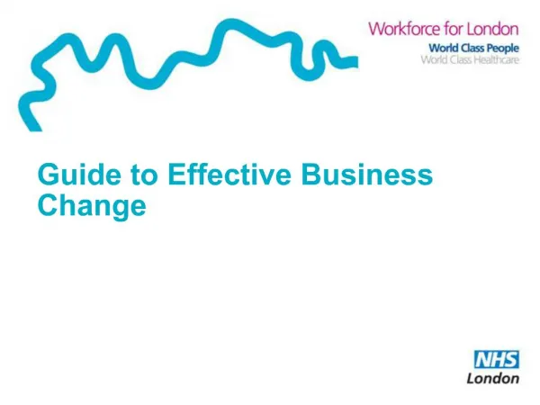 Guide to Effective Business Change