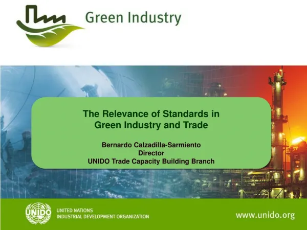 The Relevance of Standards in Green Industry and Trade Bernardo Calzadilla -Sarmiento Director