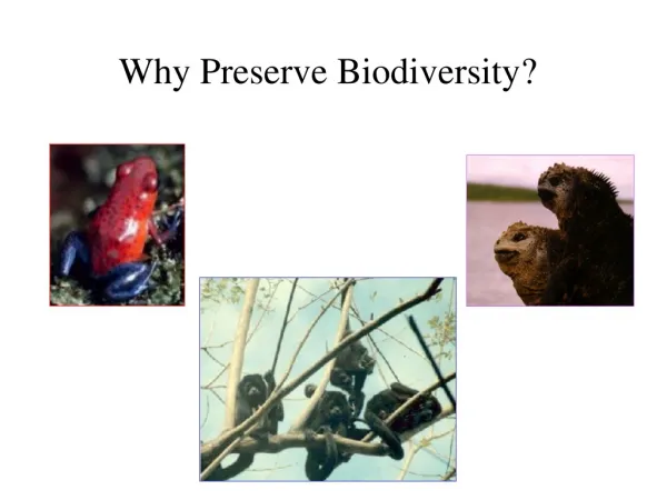 Why Preserve Biodiversity ?