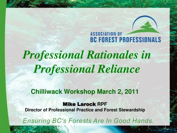 Professional Rationales in Professional Reliance
