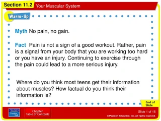 Myth No pain, no gain. - slide 1