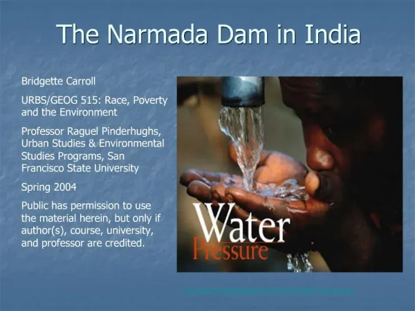The Narmada Dam in India