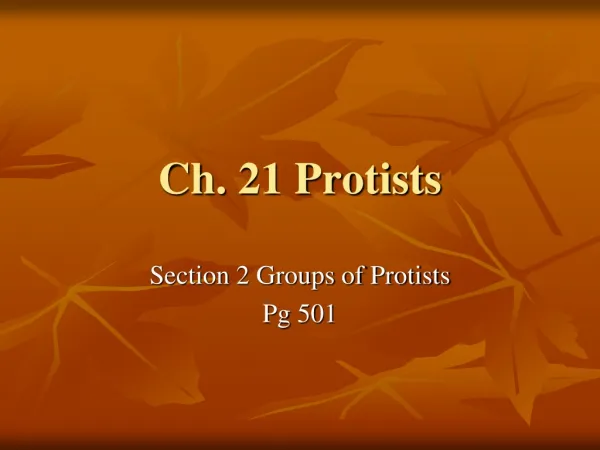 Ch. 21 Protists
