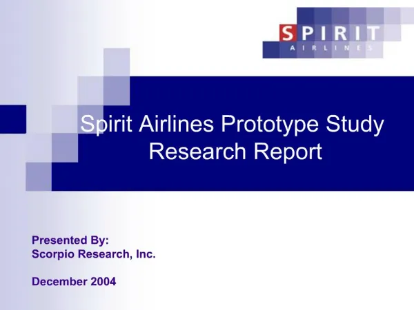 Spirit Airlines Prototype Study Research Report