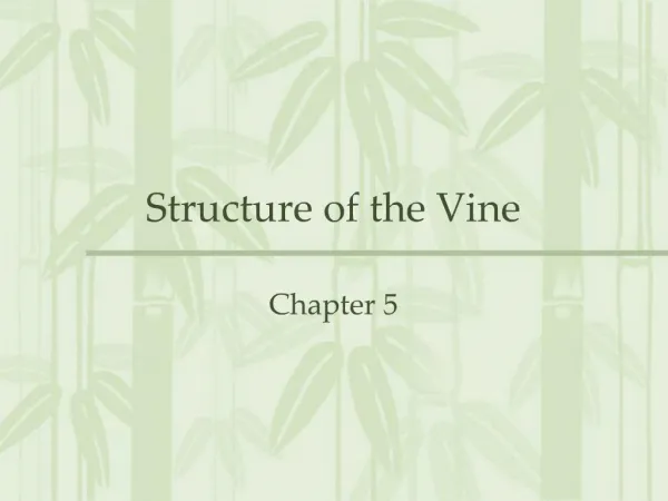 Structure of the Vine